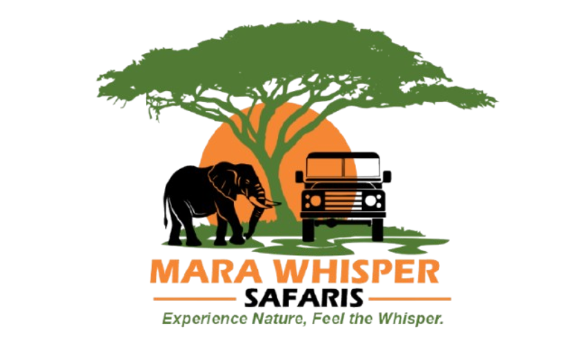 The Mara Whispers